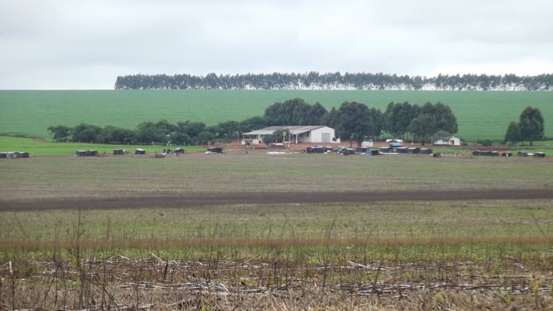 Fazenda Cerrado – Acampamento Nelson Mandela - Imagem inicial da ocupação em dezembro de 2014, atualmente toda extensão visível nessa imagem está ocupada por barracas.