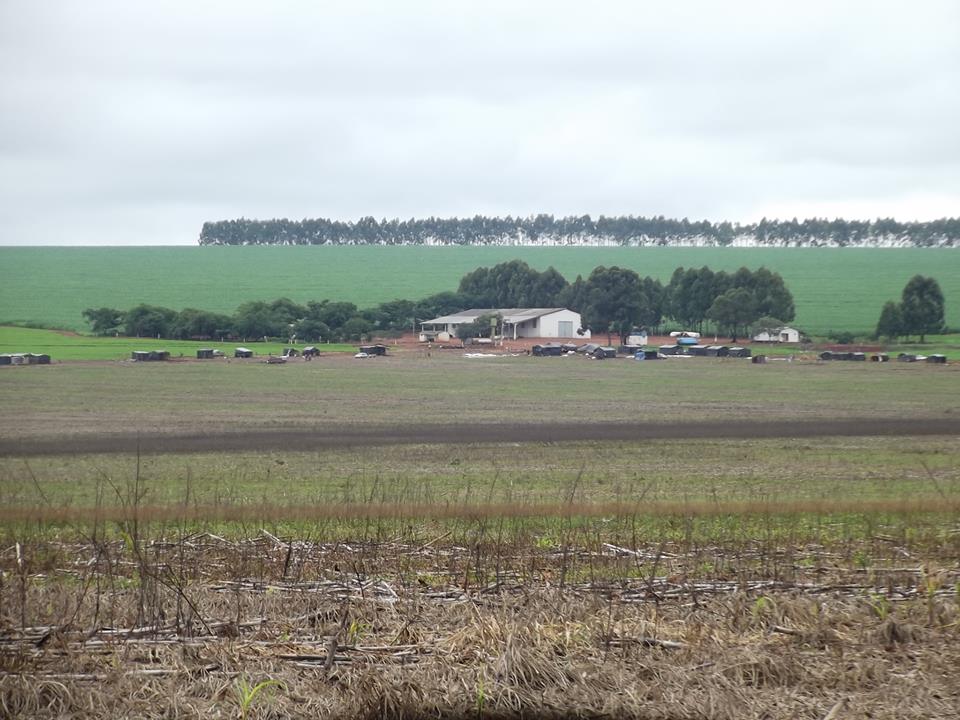 Fazenda Cerrado – Acampamento Nelson Mandela - Imagem inicial da ocupação em dezembro de 2014, atualmente toda extensão visível nessa imagem está ocupada por barracas.