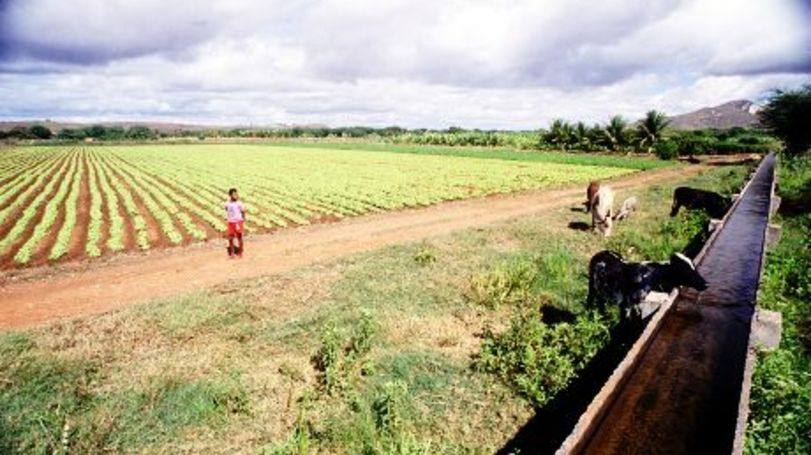 Fonte da foto: Revista Exame