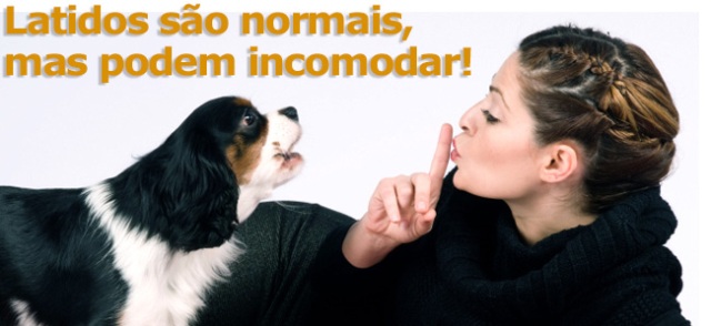 Seu cachorro está latindo no quintal e sua esposa gritando no jardim, -  Charada e Resposta - Geniol