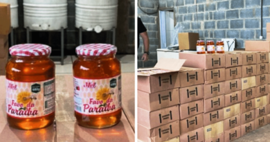 FALSA COLMEIA – PF cumpre mandados contra suspeitos de comércio de mel falso.