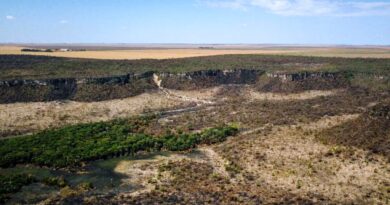 SEGUNDO MAIOR BIOMA BRASILEIRO – Governo monta força-tarefa para conter desmatamento no Cerrado.