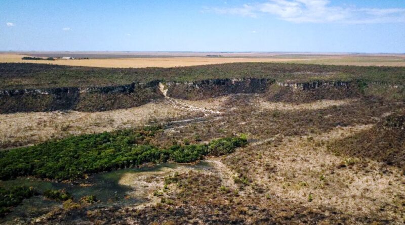 SEGUNDO MAIOR BIOMA BRASILEIRO – Governo monta força-tarefa para conter desmatamento no Cerrado.