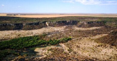 DESTRUIÇÃO E FALTA DE MANEJO – Desmatamento e irrigação de lavouras fazem rios do Cerrado minguarem