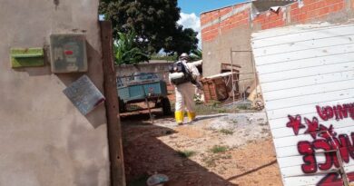 INSTITUCIONAL – DENGUE: não deixe o mosquito estragar sua festa.