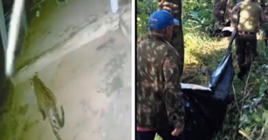 TRAGÉDIA NO PANTANAL – Onça ataca e mata caseiro em pesqueiro às margens do Rio Miranda. VÍDEO