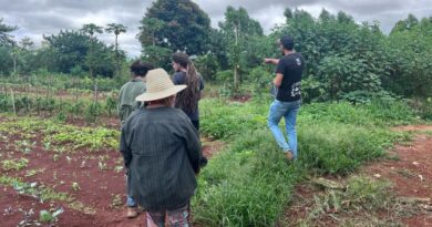 Projeto Sementes do Cerrado – Sistemas agrocerratenses propõem modelo que alia restauração, produção e autonomia às comunidades tradicionais.