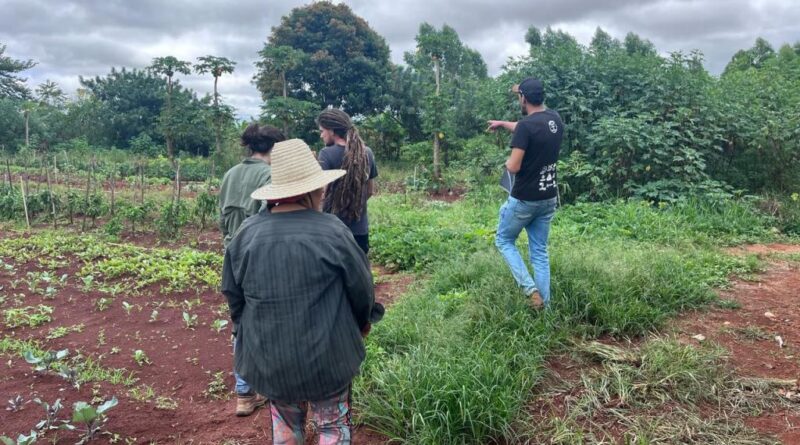Projeto Sementes do Cerrado – Sistemas agrocerratenses propõem modelo que alia restauração, produção e autonomia às comunidades tradicionais.