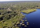 PROJETO DA DEVASTAÇÃO –  Mudanças no licenciamento ambiental voltam para análise na Câmara e mobilizam frentes parlamentares.