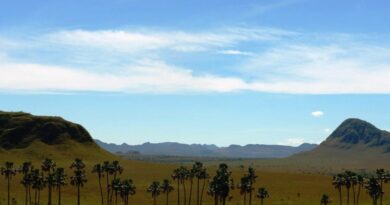 EXCLUSIVO – Trilhas, biodiversidade e educação ambiental marcam celebração do Cerrado em Alto Paraíso de Goiás.