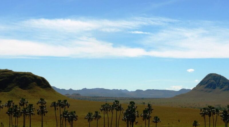 EXCLUSIVO – Trilhas, biodiversidade e educação ambiental marcam celebração do Cerrado em Alto Paraíso de Goiás.