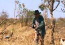 Cinema no Sertão – “Oeste Outra Vez” transforma São João d’Aliança em palco de faroeste brasileiro.