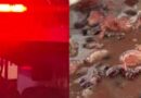 POR ASSISTIR CONTEÚDOS ADULTOS – Mulher mata marido e cozinha órgão genital com feijão.