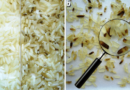 ALIMENTAÇÃO – Comer alimentos com carunchos faz mal? Saiba como evitar a infestação dos insetos.
