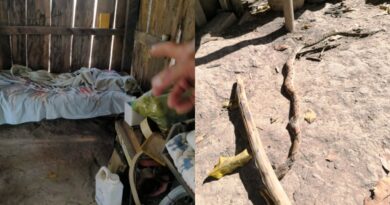 ATAQUE DE JARARACA? – Polícia apura morte de trabalhador rural em Flores de Goiás.