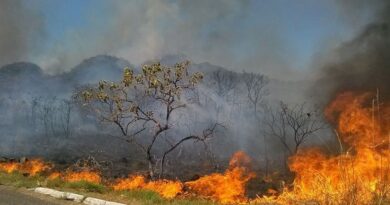 EMERGÊNCIA AMBIENTAL – Decreto suspende uso do fogo em vegetação no Estado de Goiás.