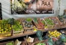 AGRICULTURA FAMILIAR – Governo de Goiás lança novo edital do Programa de Aquisição de Alimentos Estadual