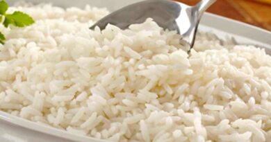 GRÃO DE ALTA QUALIDADE – Tarifa dos EUA sobre arroz brasileiro ameaça exportações e preocupa indústria nacional
