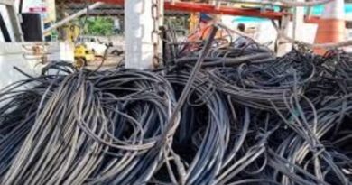 MEIO AMBIENTE – Sancionada lei que aumenta pena para roubo e furto de cabos elétricos e de telefonia