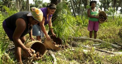 MEIO AMBIENTE – Semad investirá R$ 18 milhões na economia de comunidades tradicionais que protegem o Cerrado.