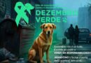 DEZEMBRO VERDE 2025 – Mês de combate ao abandono de animais