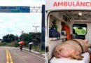 PORCO TRANSPORTADO EM AMBULÂNCIA – Prefeitura afirma que confirmação inicial ocorreu por “falha na verificação dos fatos”.