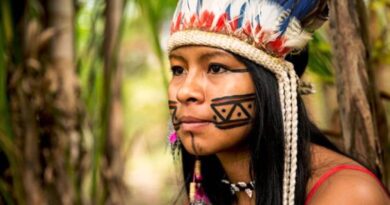 EDUCAÇÃO – Câmara aprova projeto que cria a Universidade Federal Indígena.