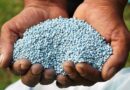 CONFLITO NO ORIENTE MÉDIO – Preços de fertilizantes dispara e ameaça custos da safra brasileira.