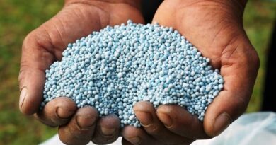 CONFLITO NO ORIENTE MÉDIO – Preços de fertilizantes dispara e ameaça custos da safra brasileira.