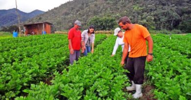FUNDO GARANTIA-SAFRA – Nova portaria fortalece a agricultura familiar frente às mudanças climáticas.
