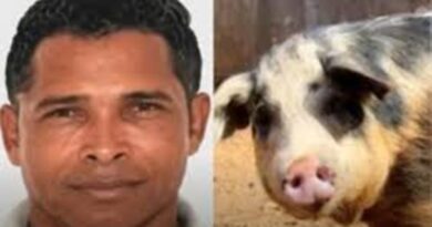 MORDIDA FATAL – Homem morre após ataque violento de porco em área rural.