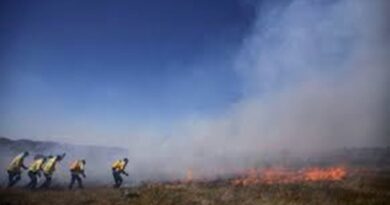 BRIGADAS COMUNITÁRIAS – Semad abre 180 vagas para prestar serviços ambientais e combater incêndios florestais em Goiás; VEJA EDITAL