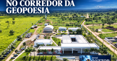 REDE DE PESQUISA NO CORREDOR DA GEOPOESIA: A educação no nordeste goiano em busca de epistemologias e metodologias.