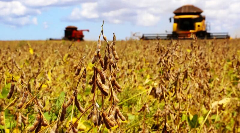 DO PLANTIO AOS GRÃOS – El Niño acende alerta para soja e milho com calor e chuvas irregulares em Goiás.